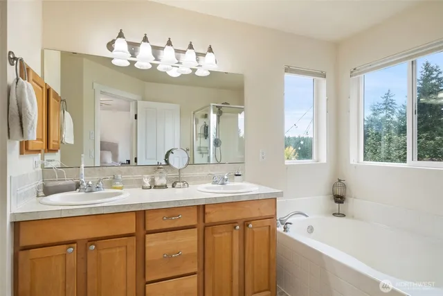 a bathroom with a double vanity sink large mirror and a bathtub