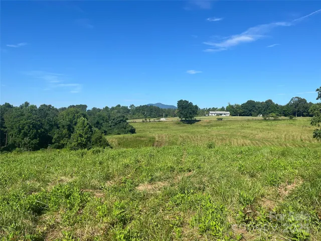 a view of a big yard with plants and large trees