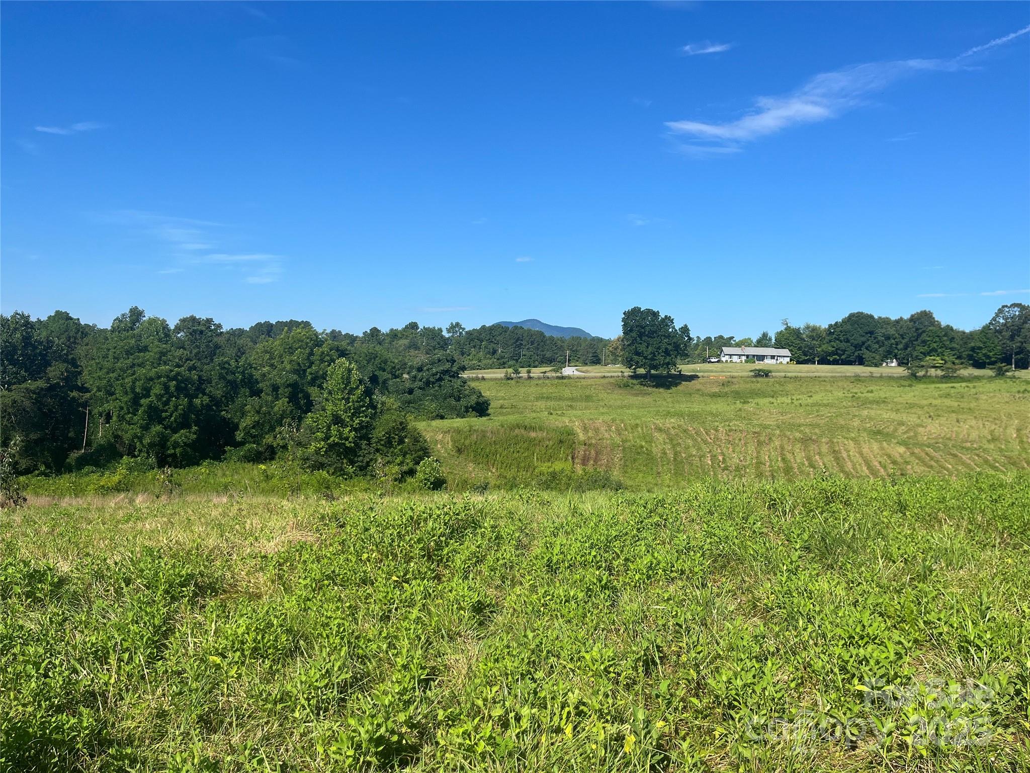 536-2 Pea Ridge Road Mill Spring, NC 28756 - Photo 2 of 3 a view of a green field with lots of bushes