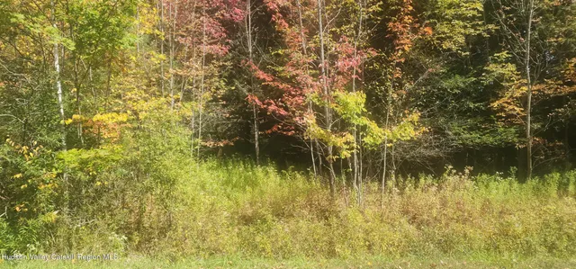 a view of a pathway both side of yard