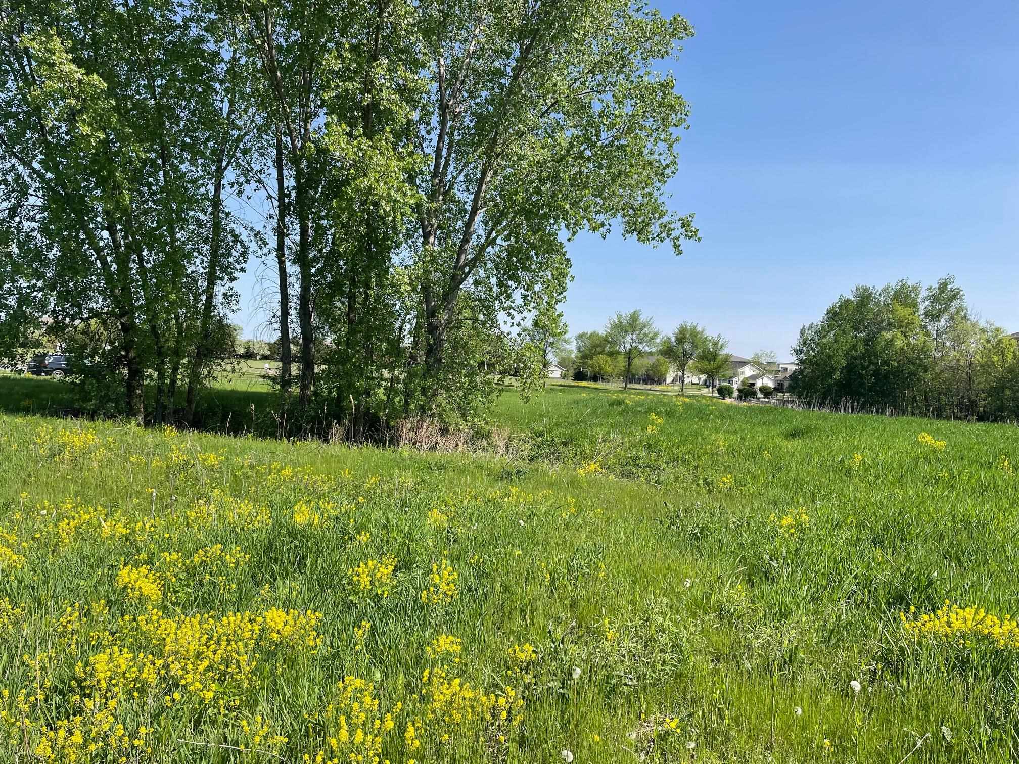 Lot 2 Wyalusing Madison, WI 53718 - Photo 4 of 8