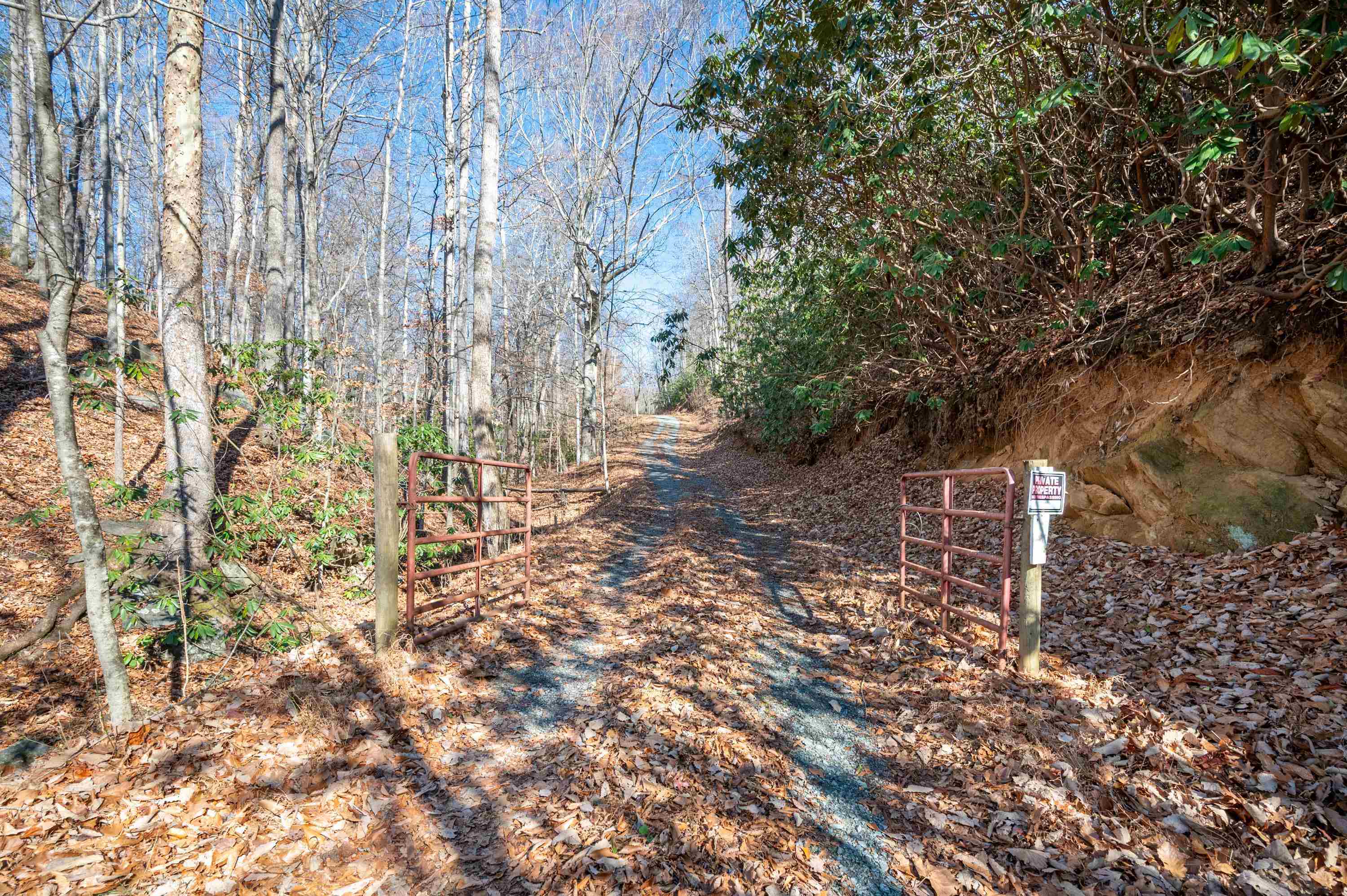 800 Runnett Bag Road Ferrum, VA 24088 - Photo 53 of 76 Gallery Image 53