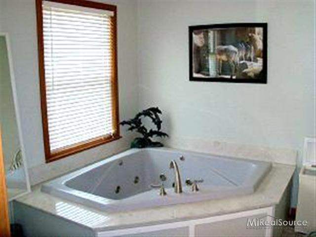 4876 Lakeshore Road Deckerville, MI 48427 - Photo 8 of 11 31148918-7.JPG