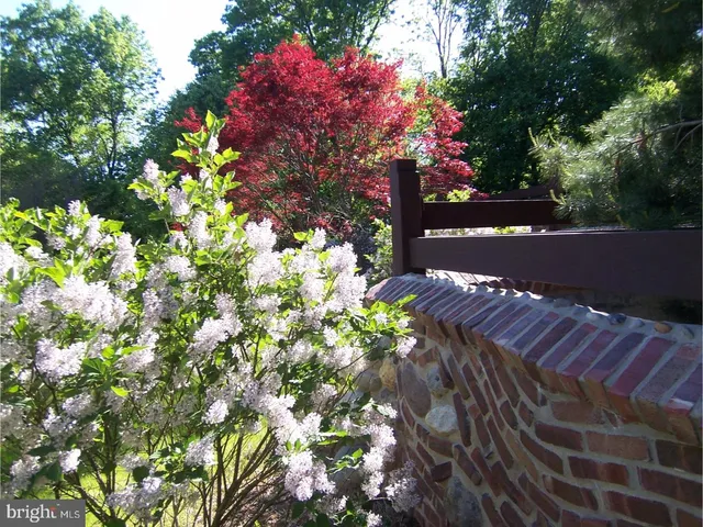 a view of yard with flowers and trees