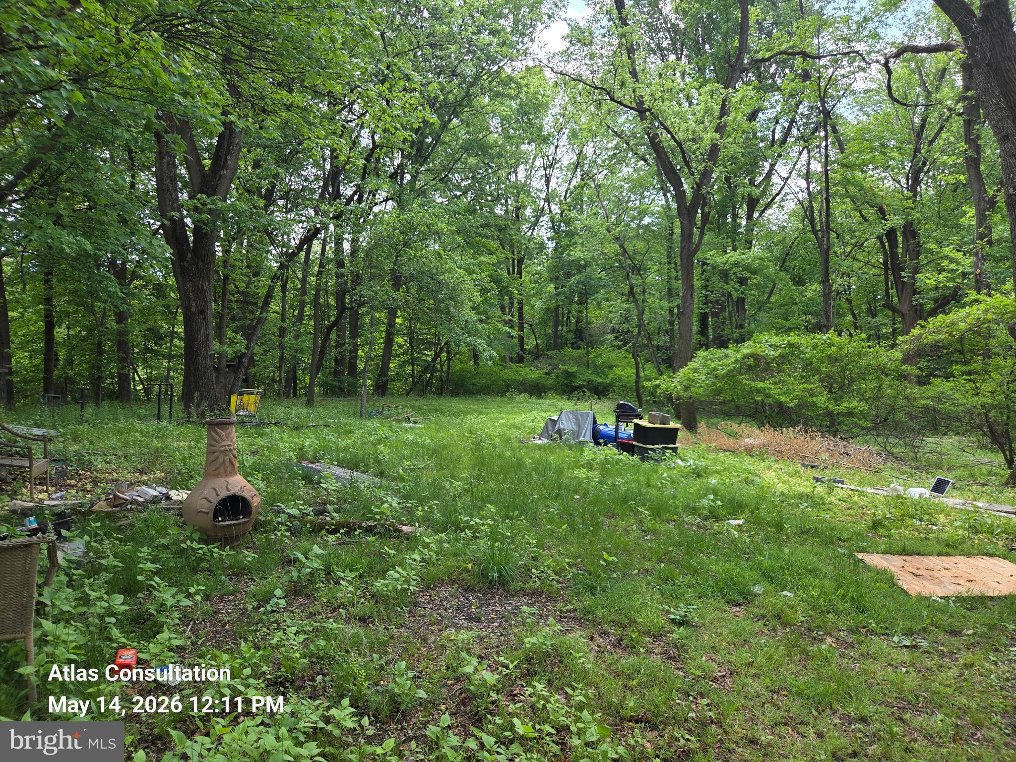 1475 Langhorne Yardley Road Langhorne, PA 19047 - Photo 12 of 15 Lush green retreat in serene woods.