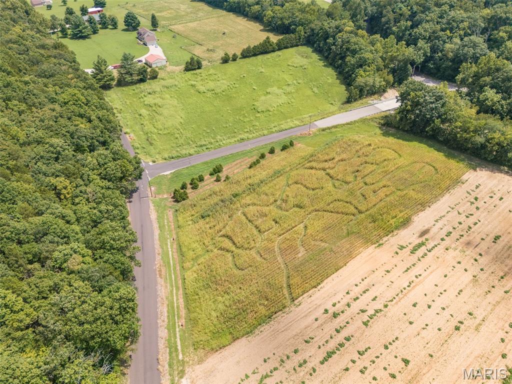 14560 Dry Fork Road Festus, MO 63028 - Photo 20 of 86 Gallery Image 20