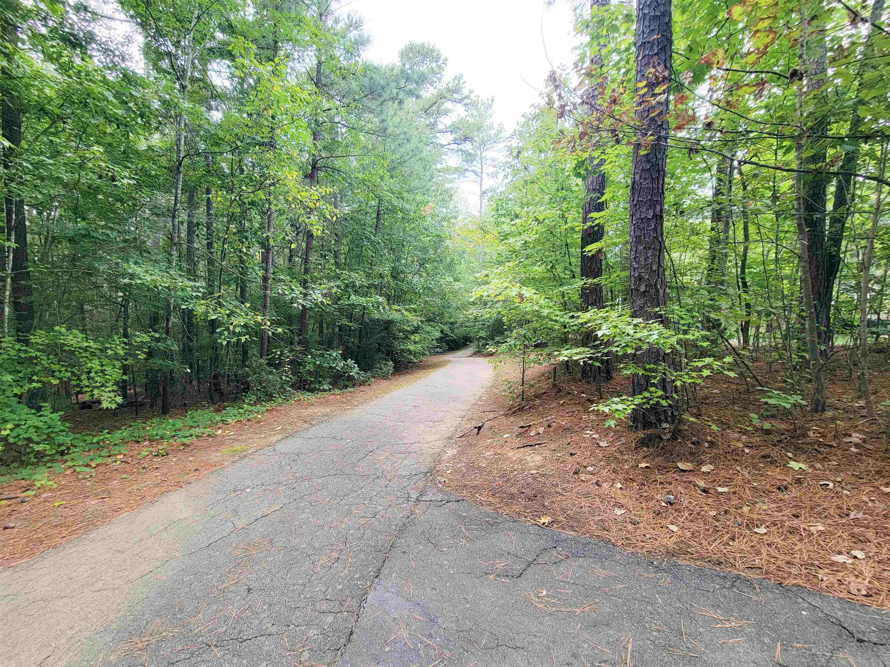 134 Juliet Circle Cary, NC 27513 - Photo 40 of 42 Photo 40