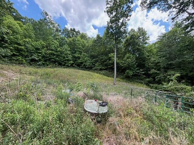 590 Black Mountain Road Dunlap, TN 37327 - Photo 7 of 20 IMG_6623