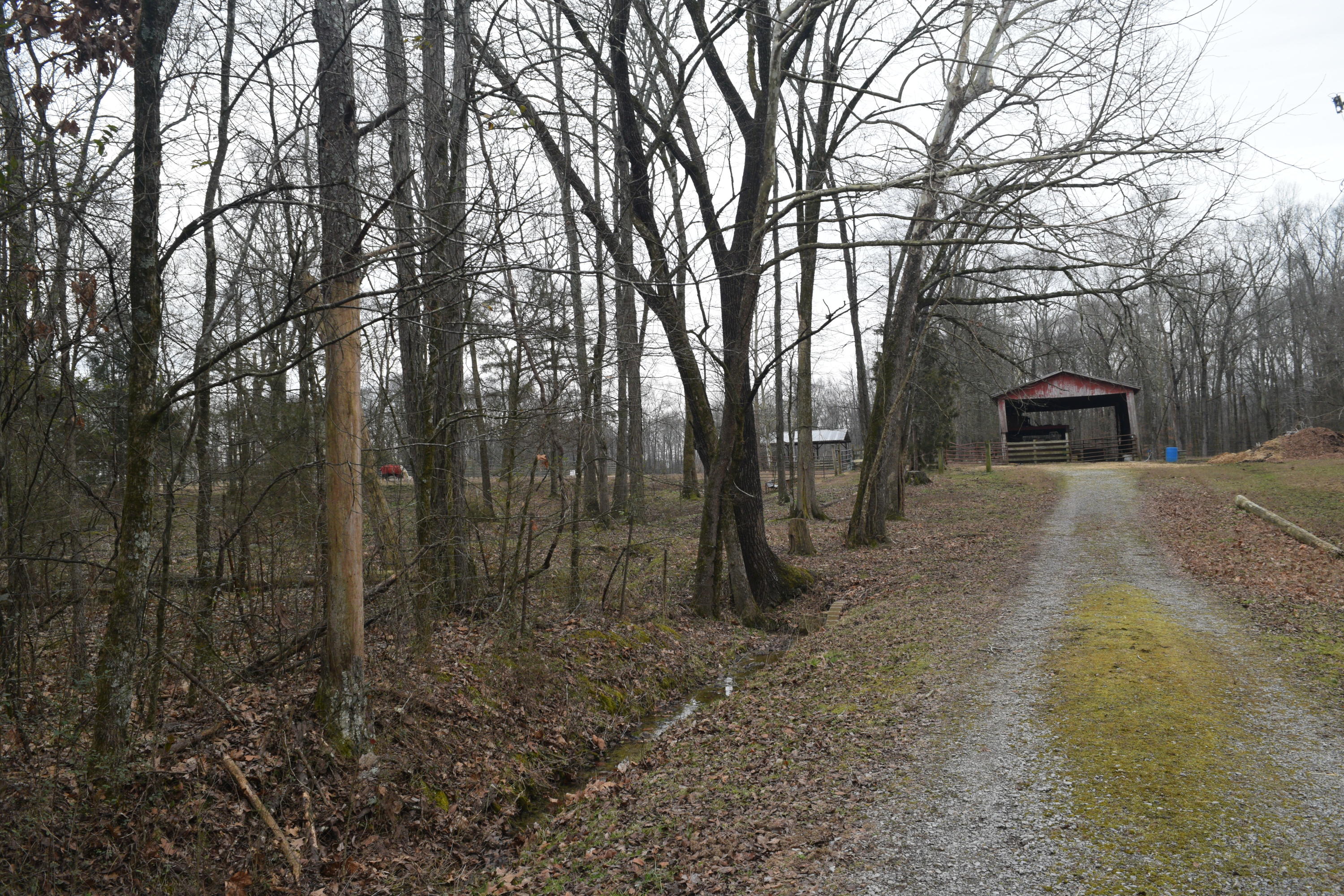 151 Brackin Road Cleveland, TN 37323 - Photo 17 of 84 74D19DC6-F368-4311-B94B-4D9F0501E298
