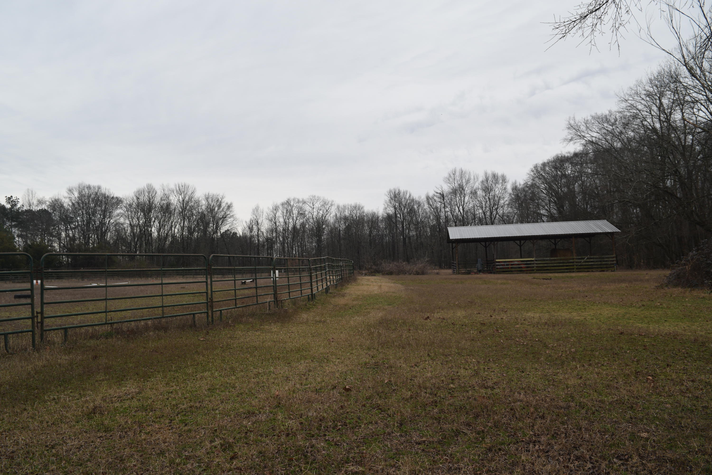 151 Brackin Road Cleveland, TN 37323 - Photo 58 of 84 8EC0680E-18B2-46B6-B414-75AF5369EAA7