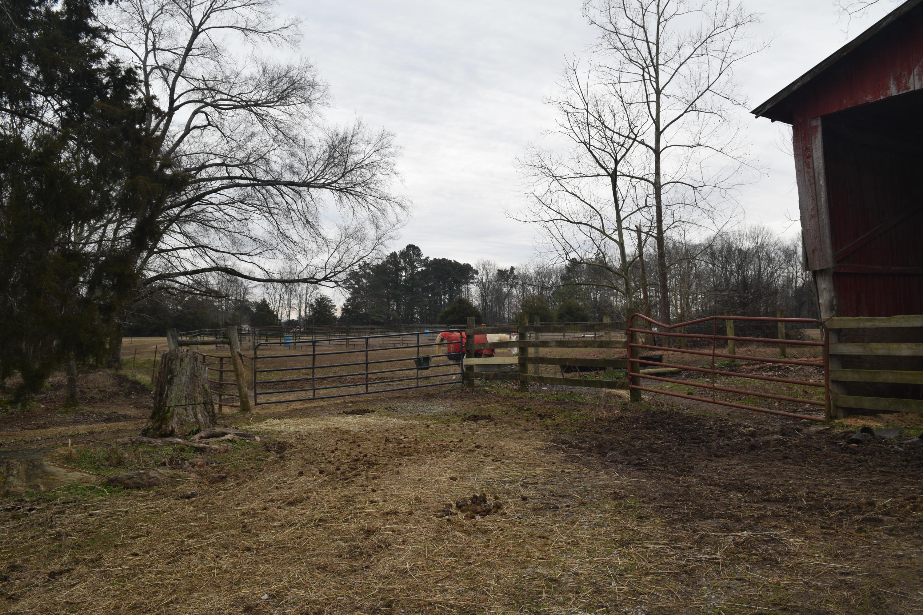 151 Brackin Road Cleveland, TN 37323 - Photo 59 of 84 A9900909-E9FC-4244-8DB7-025926B300FF