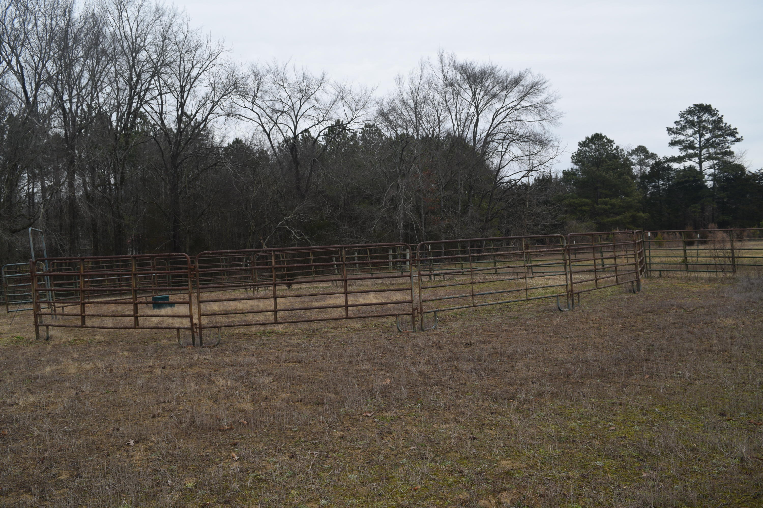 151 Brackin Road Cleveland, TN 37323 - Photo 61 of 84 3B6334A3-A1C8-4BDA-AF01-D99EEBCC252C