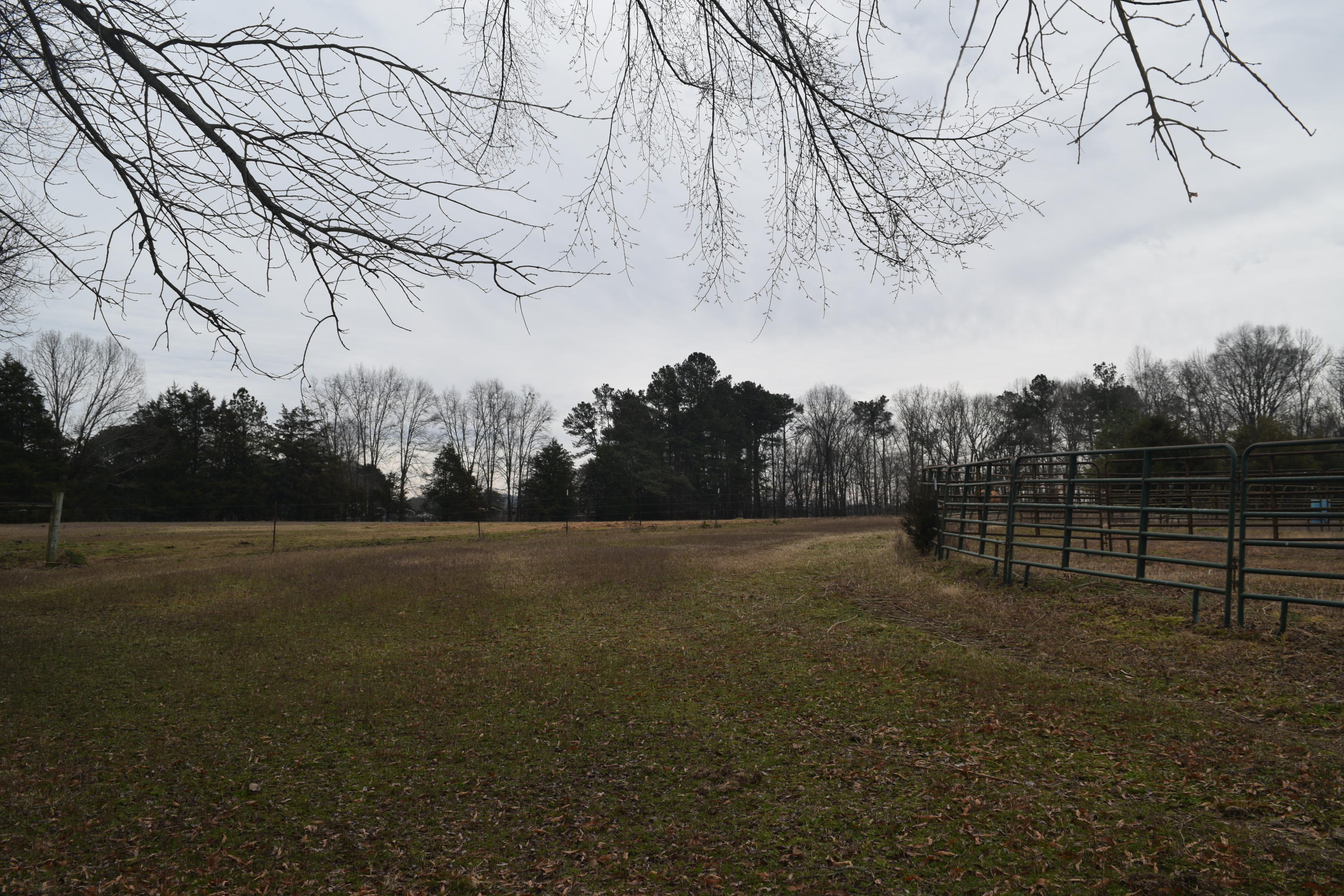 151 Brackin Road Cleveland, TN 37323 - Photo 64 of 84 4FBBCA5C-BD80-496B-9527-9749F7F28448