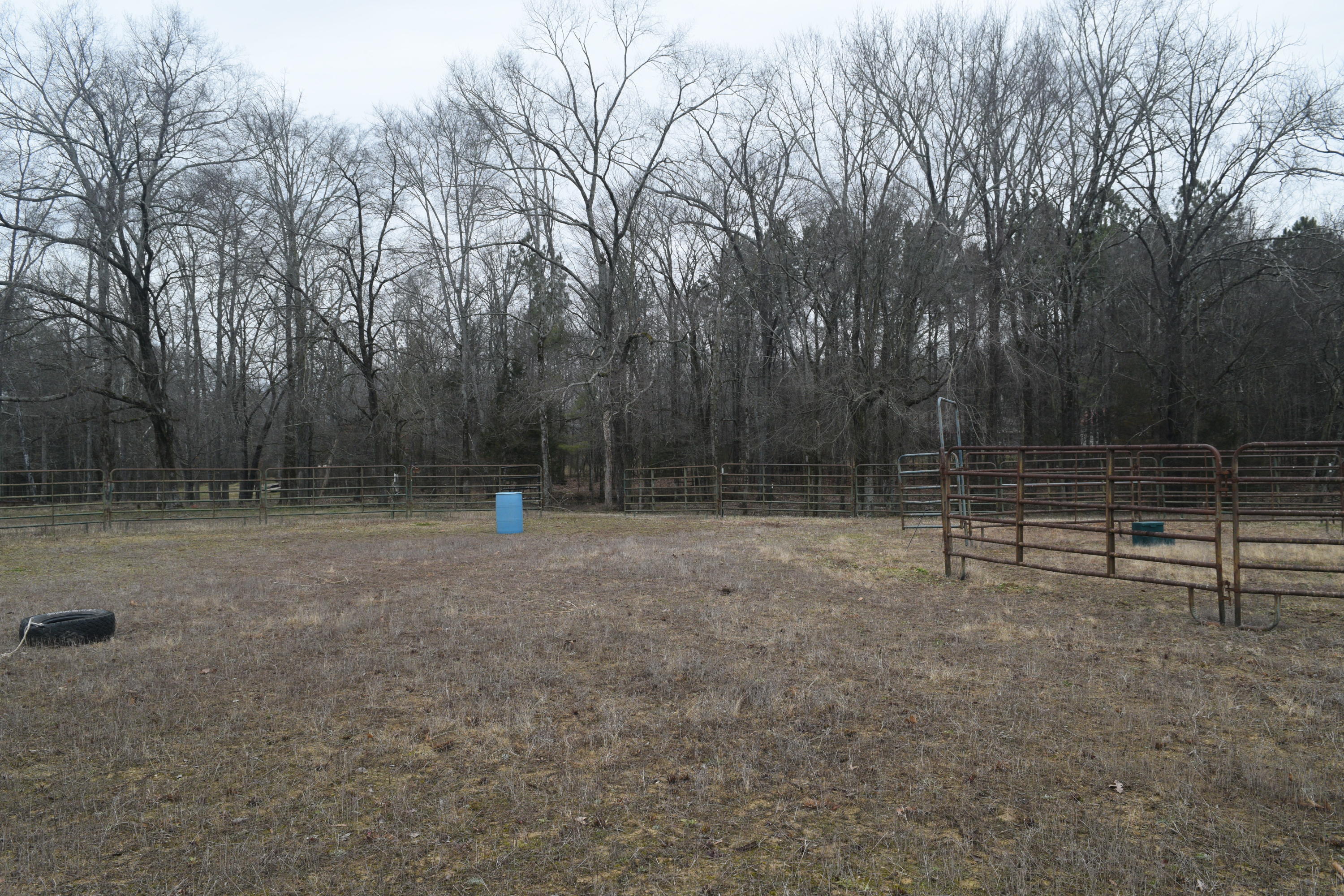 151 Brackin Road Cleveland, TN 37323 - Photo 65 of 84 1B2A8876-BEE2-40E2-95EA-8124B7608AD7