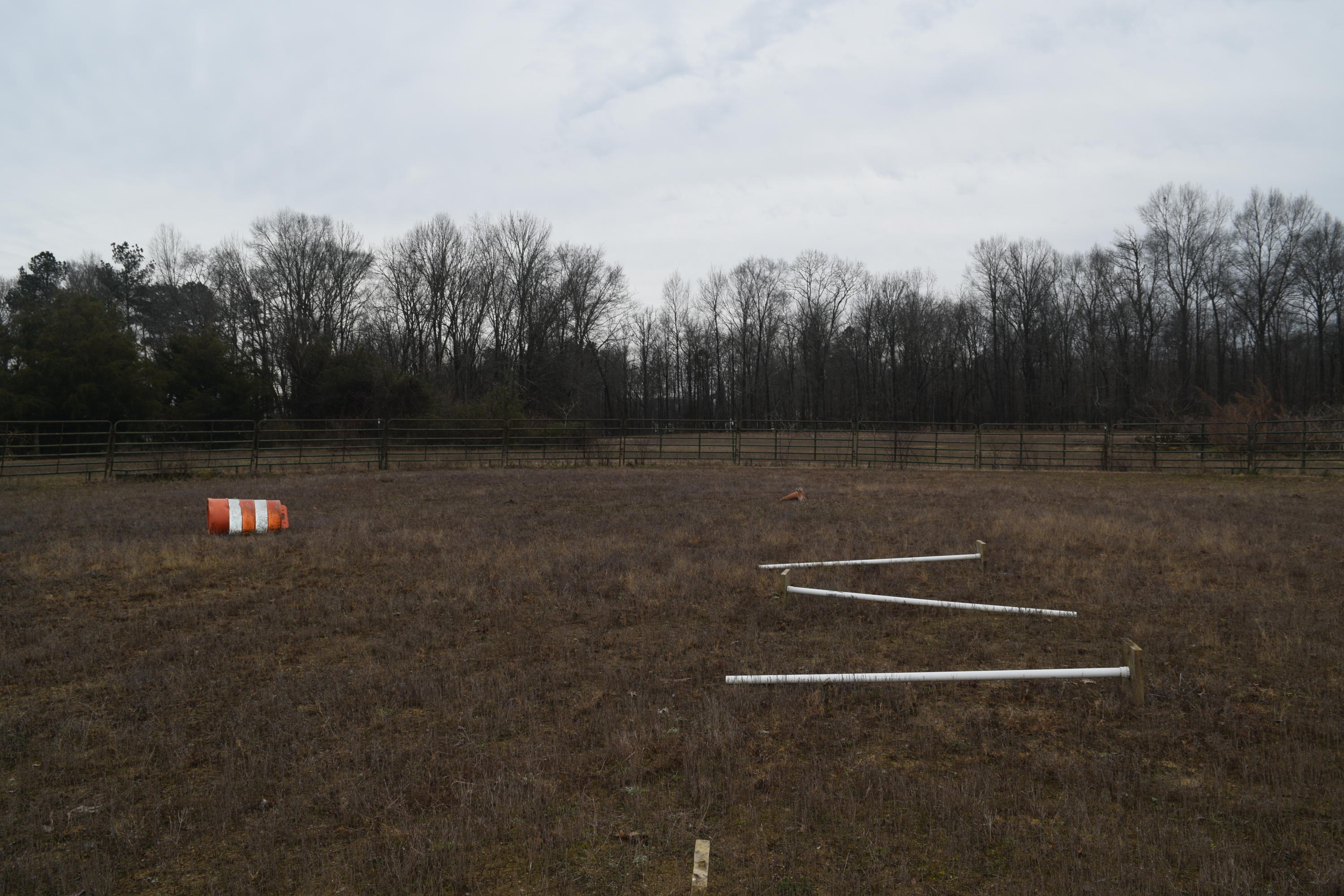 151 Brackin Road Cleveland, TN 37323 - Photo 66 of 84 8CAD91AC-A7D2-4605-9D29-EE70FC527779