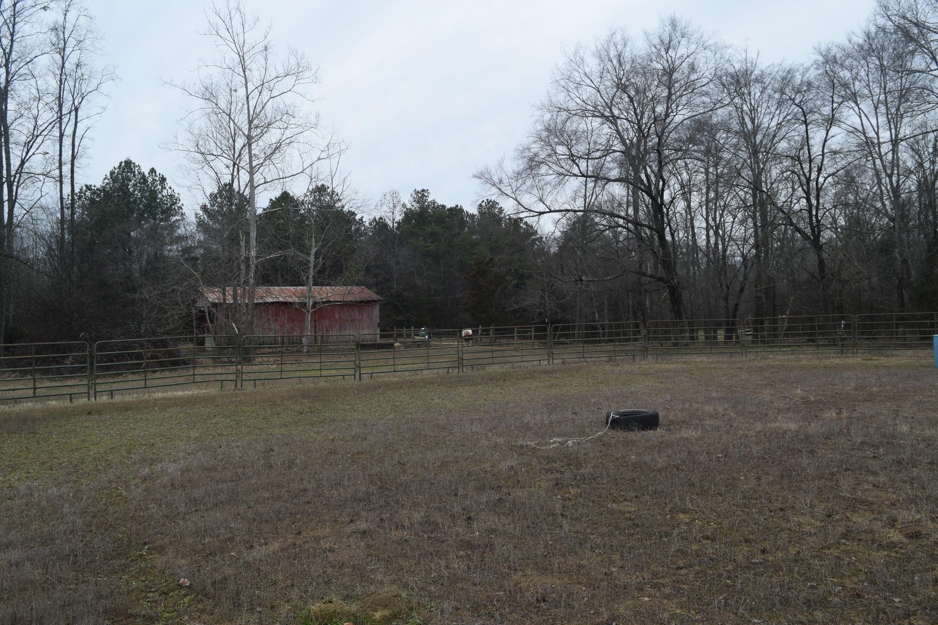 151 Brackin Road Cleveland, TN 37323 - Photo 68 of 84 EB2E6AB6-5B7D-4D93-B91B-D63F2C8C12C8