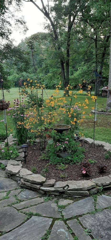151 Brackin Road Cleveland, TN 37323 - Photo 80 of 84 6