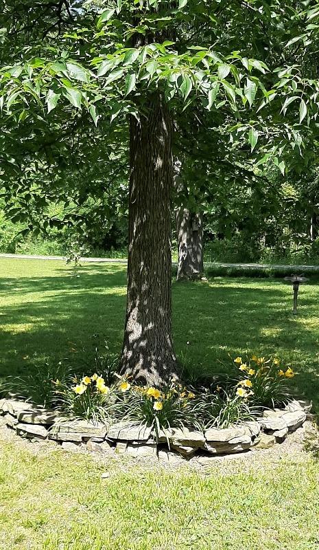 151 Brackin Road Cleveland, TN 37323 - Photo 84 of 84 15