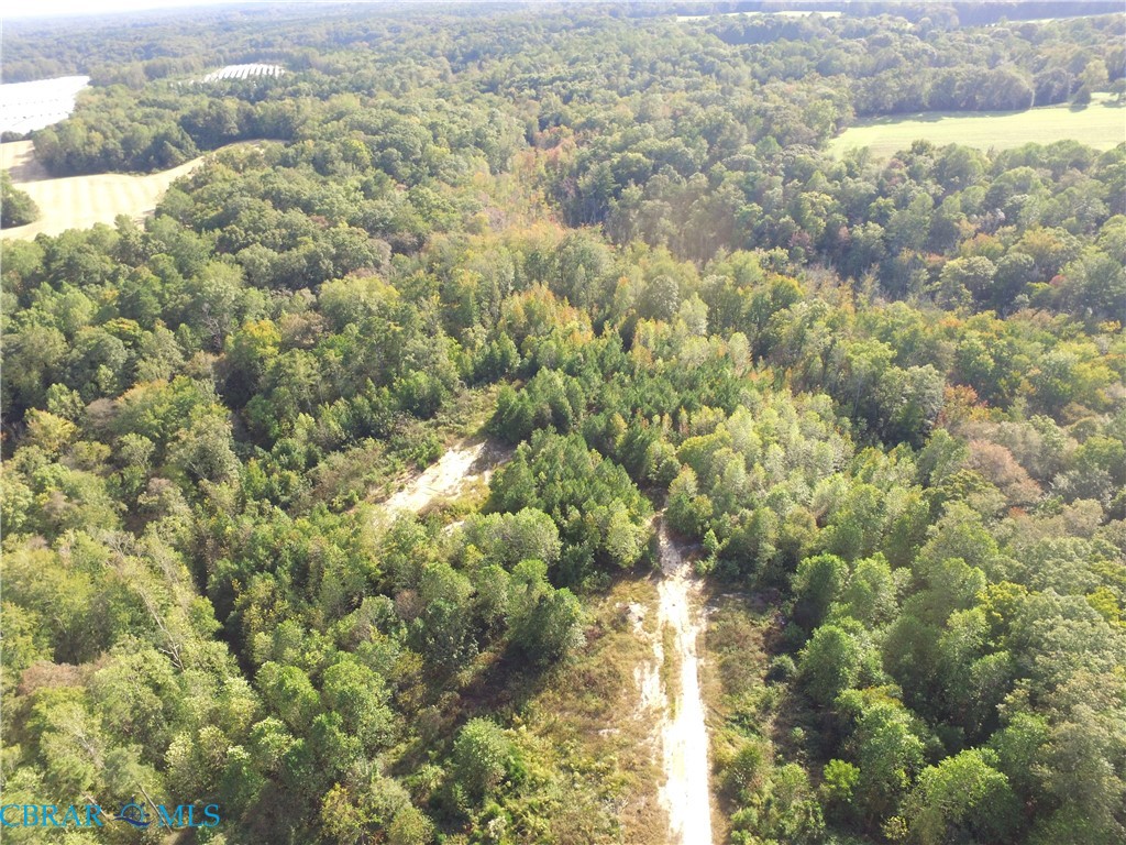 55-98 Kings Mill Road Montross, VA 22520 - Photo 11 of 12