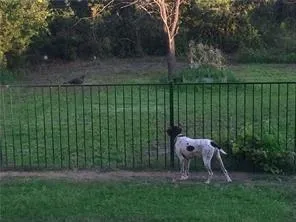 $2,595 | 11204 Meredith Drive, Frisco, TX 75036