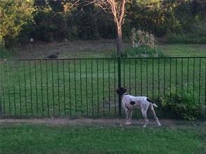 11204 Meredith Drive Frisco, TX 75036 - Photo 28 of 30 The house is nestled near a nature reserve, providing a peaceful and scenic setting. Enjoy the opportunity to see deer and observe wildlife right from your property. Experience the beauty of nature and a tranquil lifestyle surrounded by natural life.