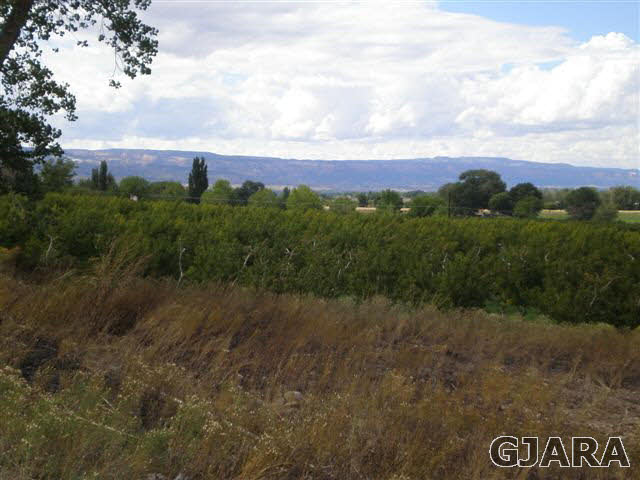 3241 B 1/2 Road Grand Junction, CO 81503 - Photo 26 of 26 Gallery Image 26