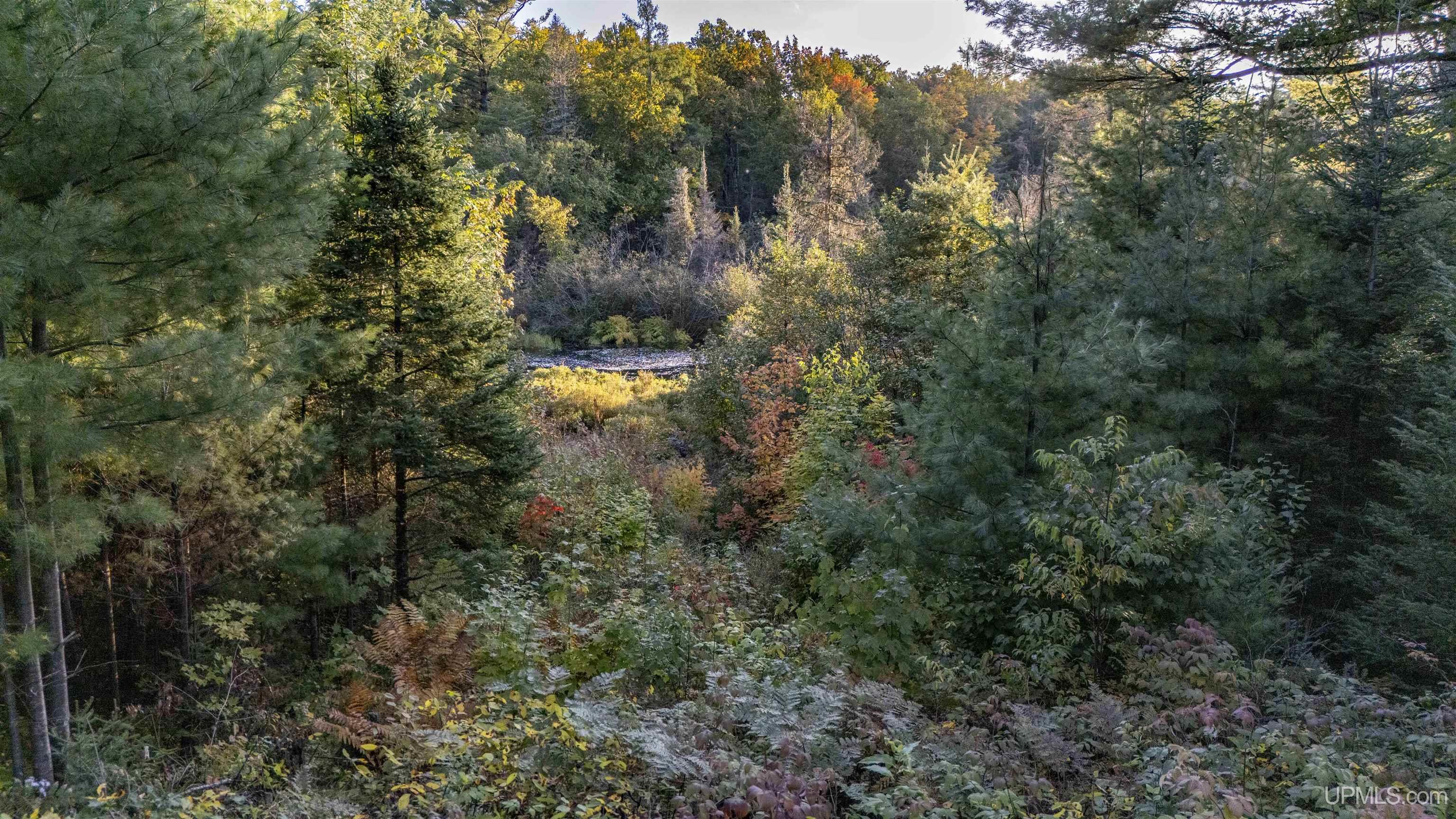 Tbd Luke Road Amasa, MI 49903 - Photo 60 of 64
