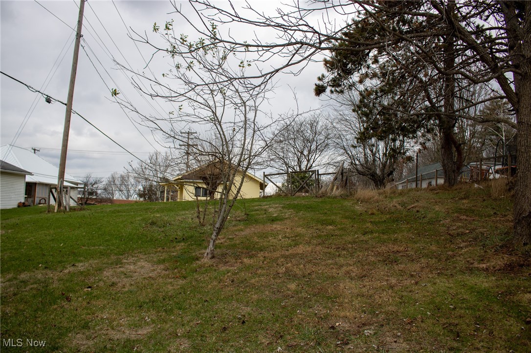 1900 Maple Road Cambridge, OH 43725 - Photo 11 of 45 View of yard