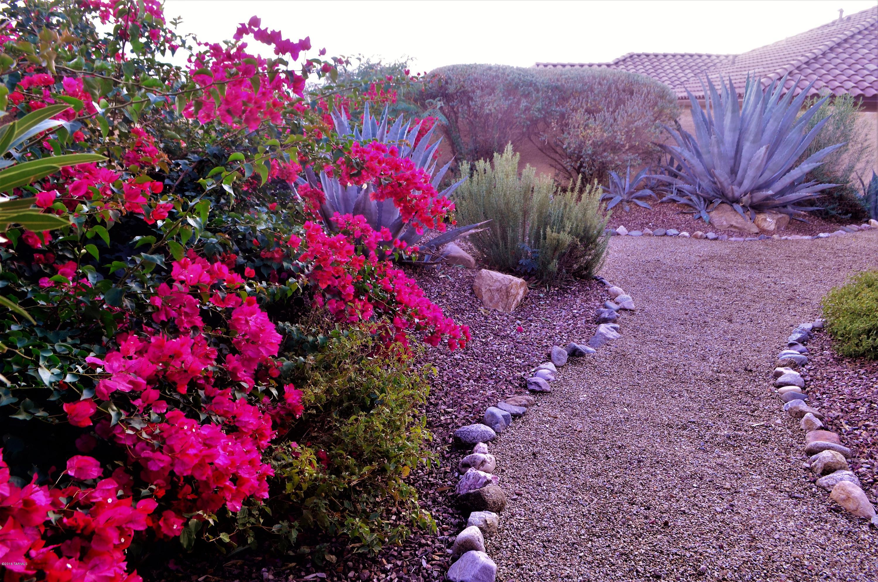 62283 East Sandlewood Road Tucson, AZ 85739 - Photo 8 of 33