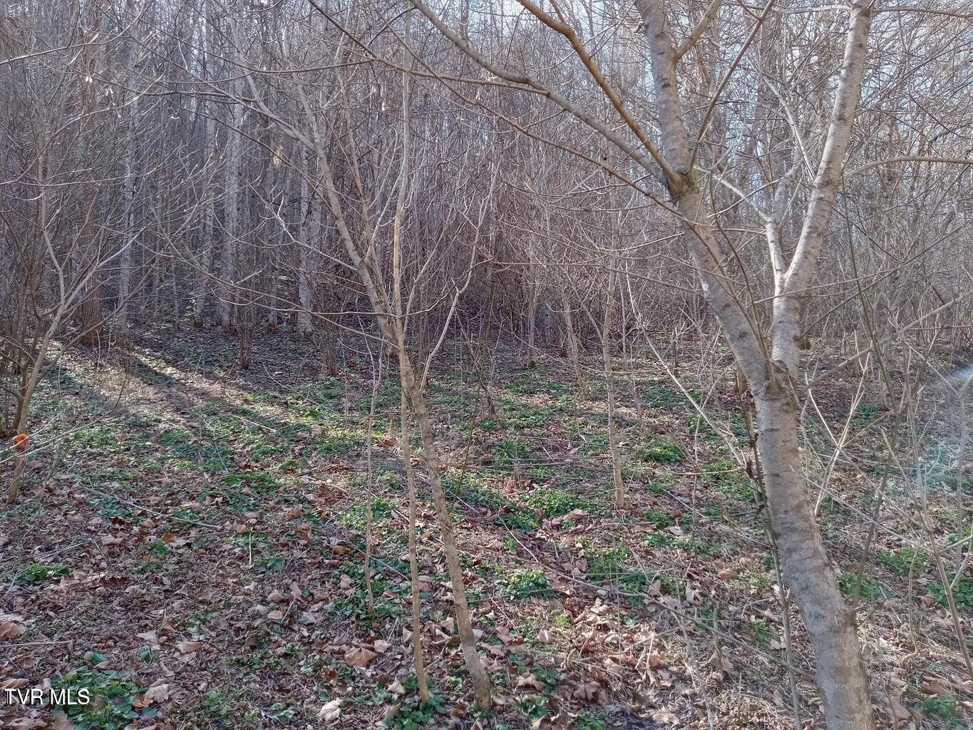 Tbd Toole Creek Road Abingdon, VA 24210 - Photo 6 of 25 *