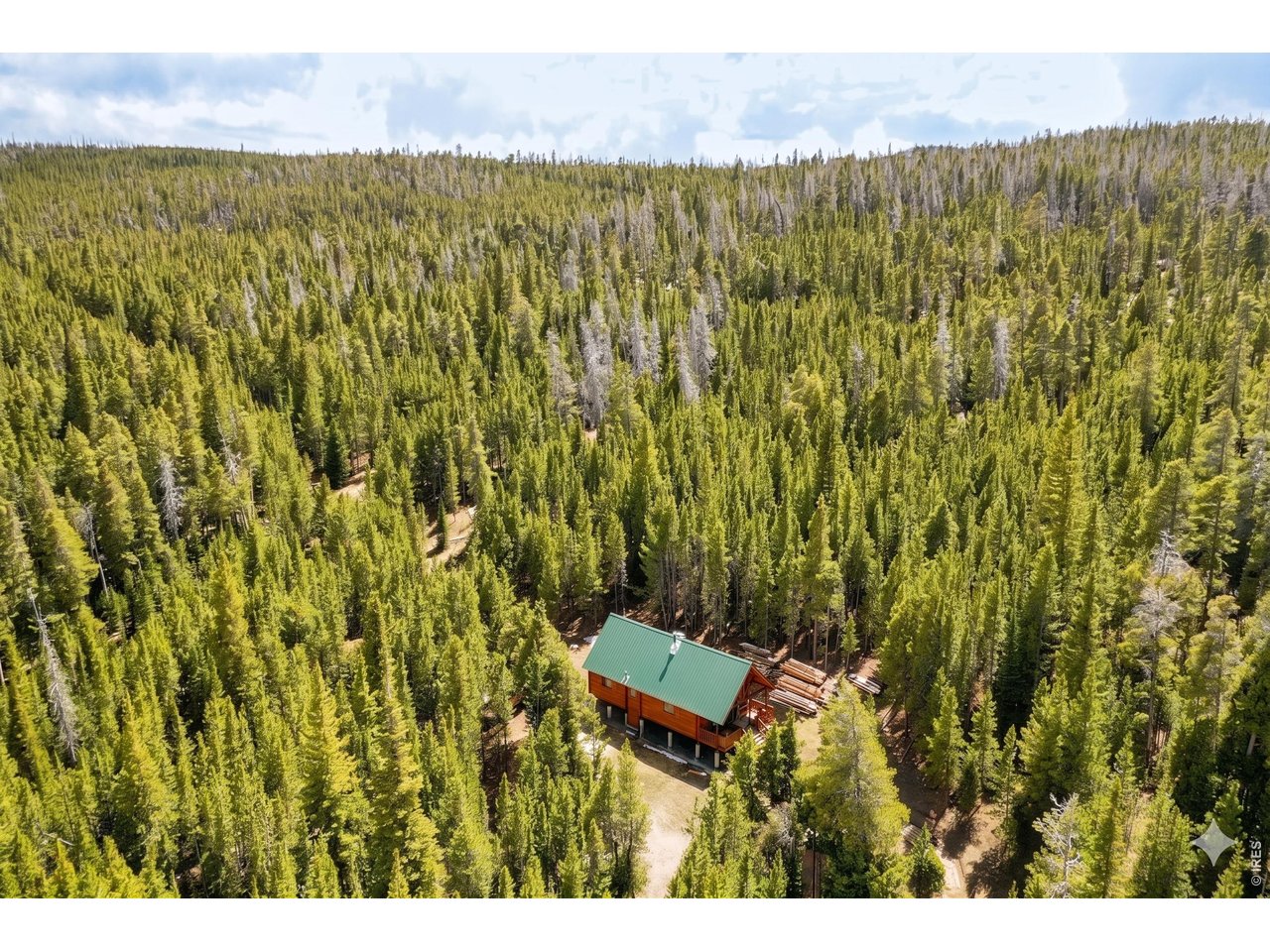 10000 Forest Road, Unit 169 Red Feather Lakes, CO 80545 - Photo 21 of 31