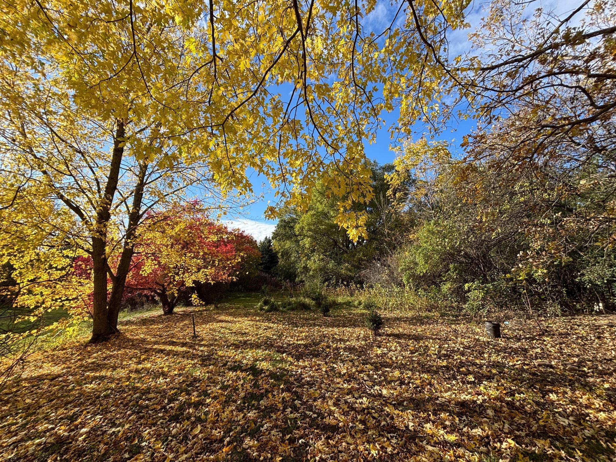 46279 193rd Street Morris, MN 56267 - Photo 11 of 54