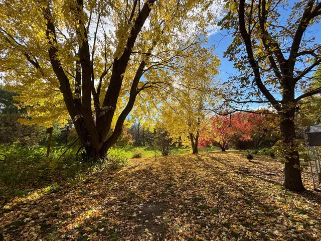 $415,000 | 46279 193rd Street, Morris, MN 56267