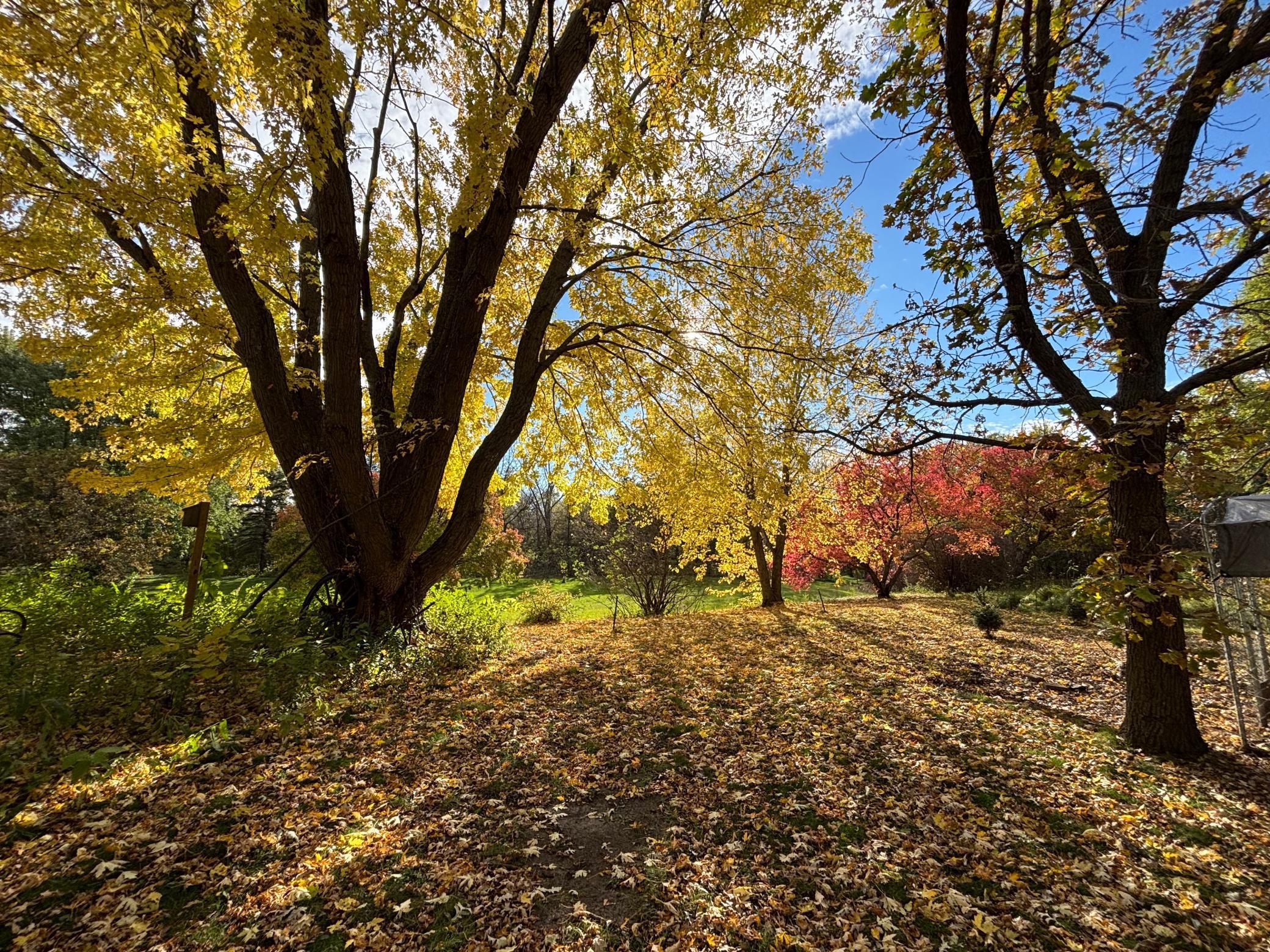 46279 193rd Street Morris, MN 56267 - Photo 12 of 54