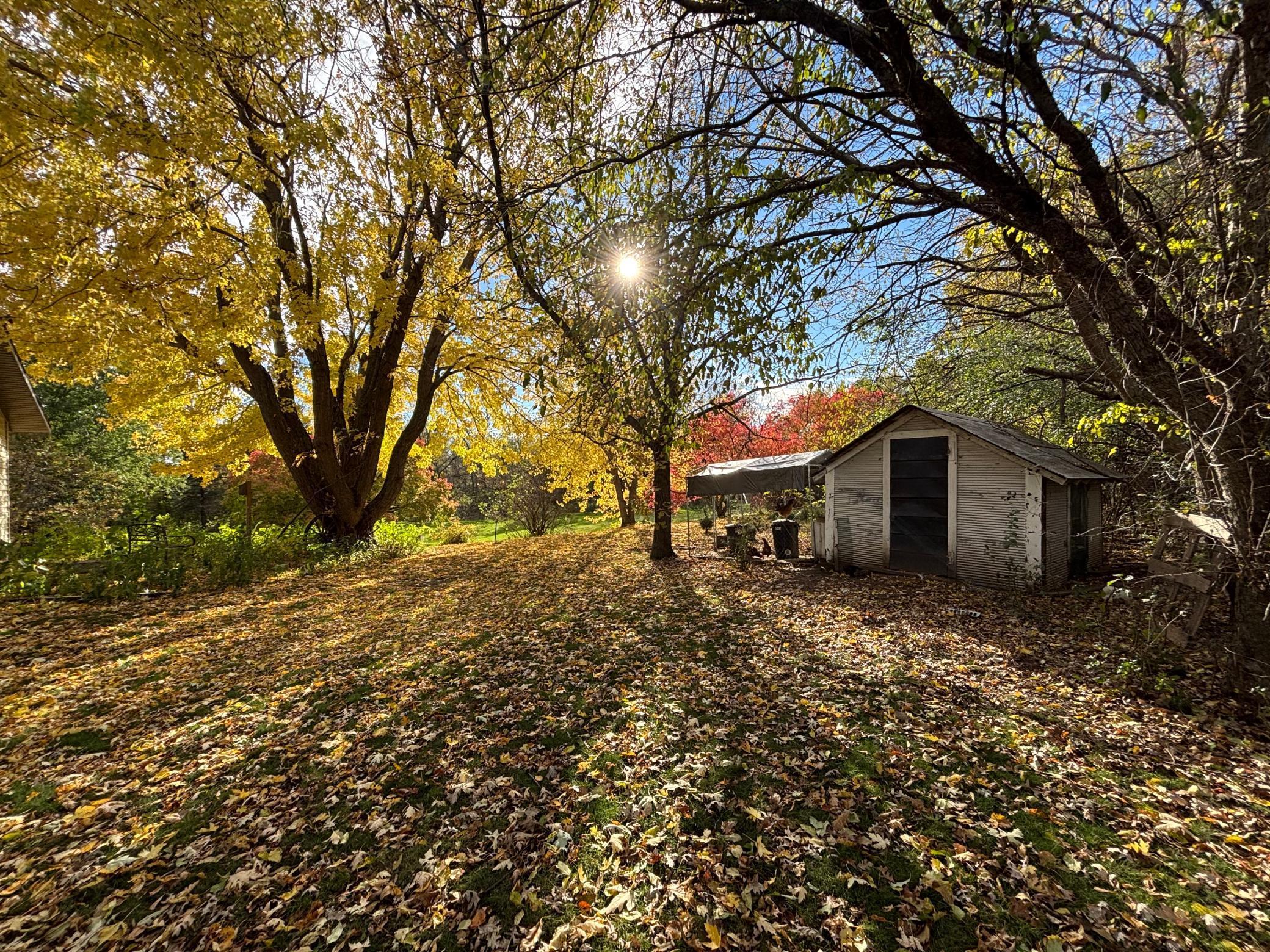 46279 193rd Street Morris, MN 56267 - Photo 13 of 54