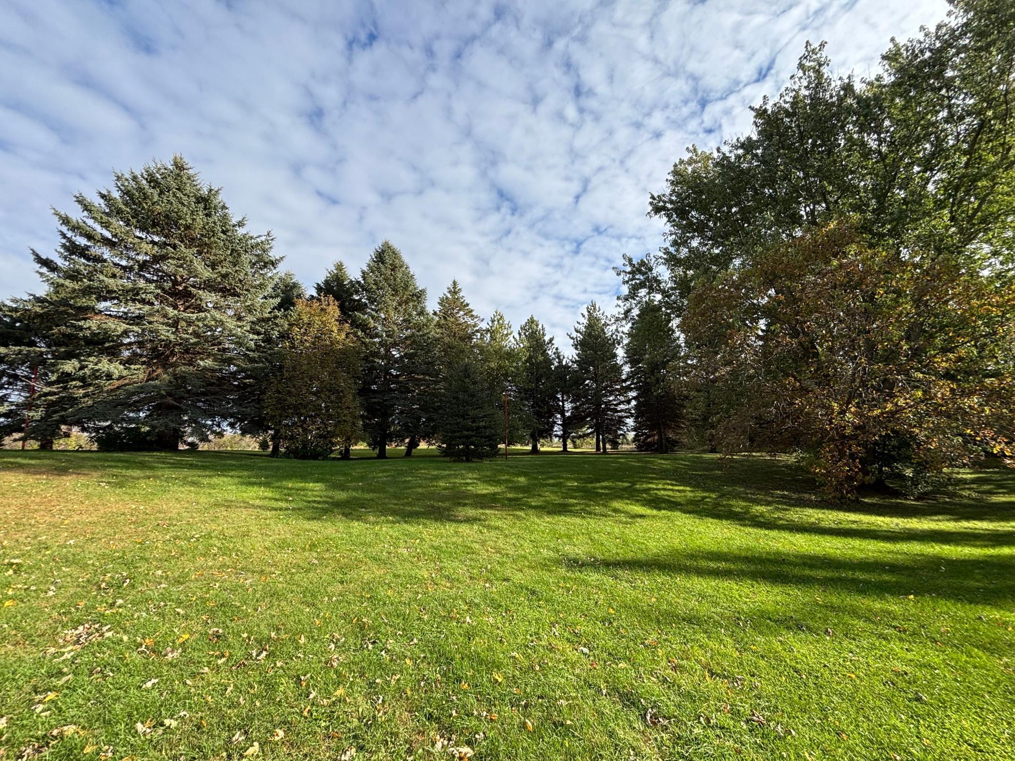 46279 193rd Street Morris, MN 56267 - Photo 6 of 54