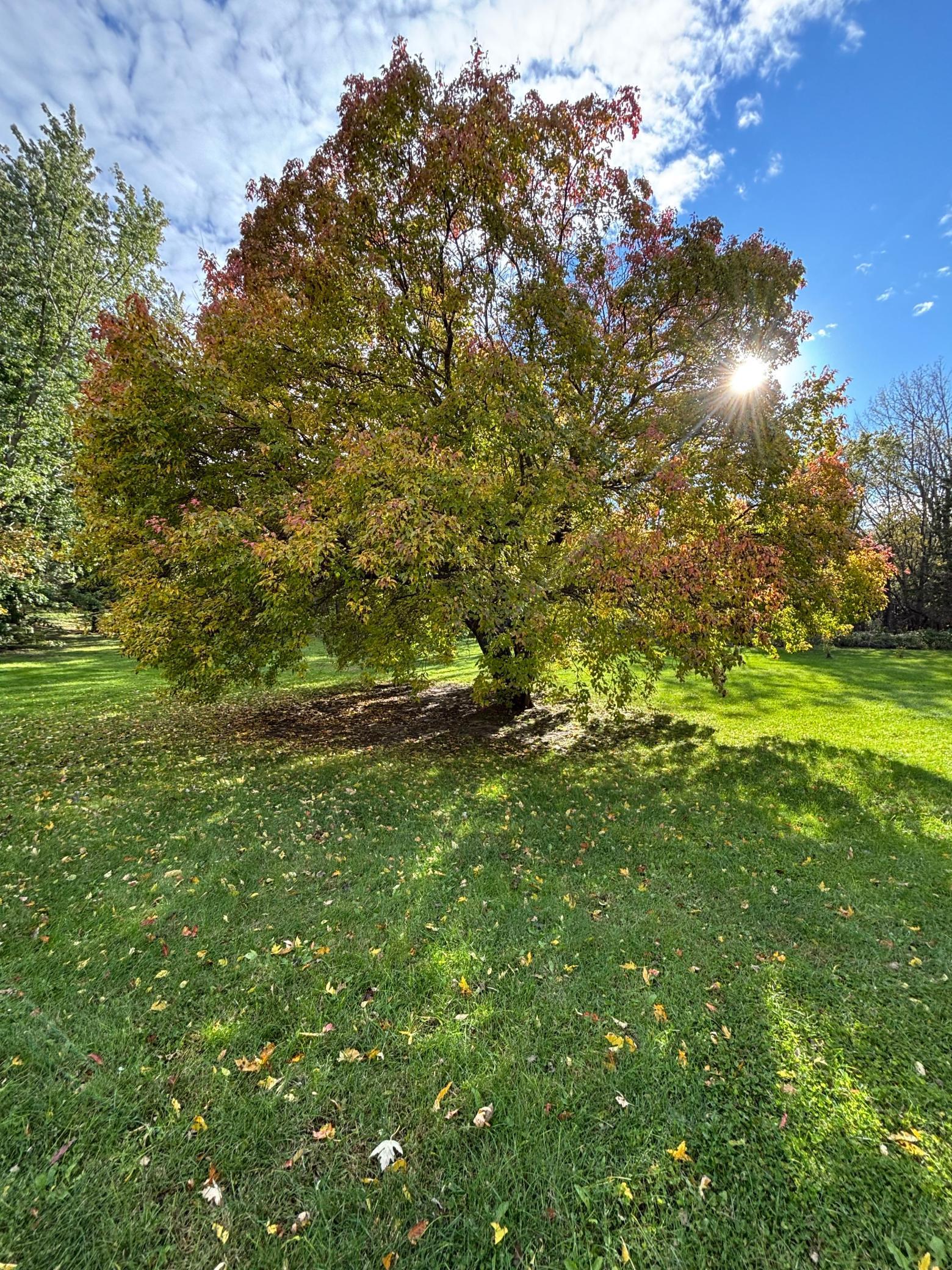 46279 193rd Street Morris, MN 56267 - Photo 8 of 54