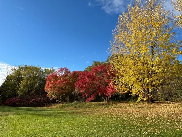 $415,000 | 46279 193rd Street, Morris, MN 56267