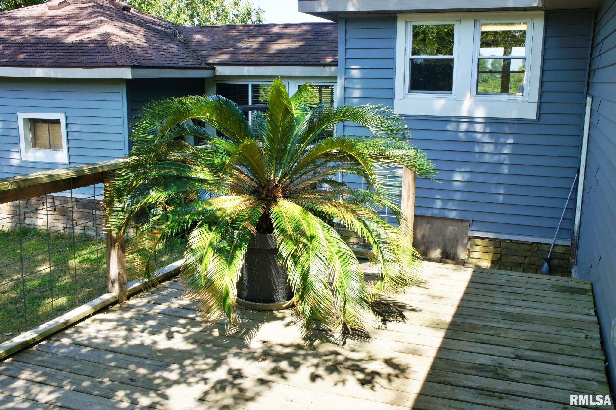 942 Karnak Road Karnak, IL 62956 - Photo 18 of 66