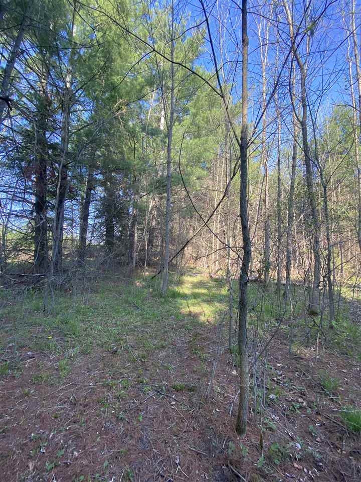 1800 Chappel Dam Road Gladwin, MI 48624 - Photo 17 of 19 Gallery Image 17