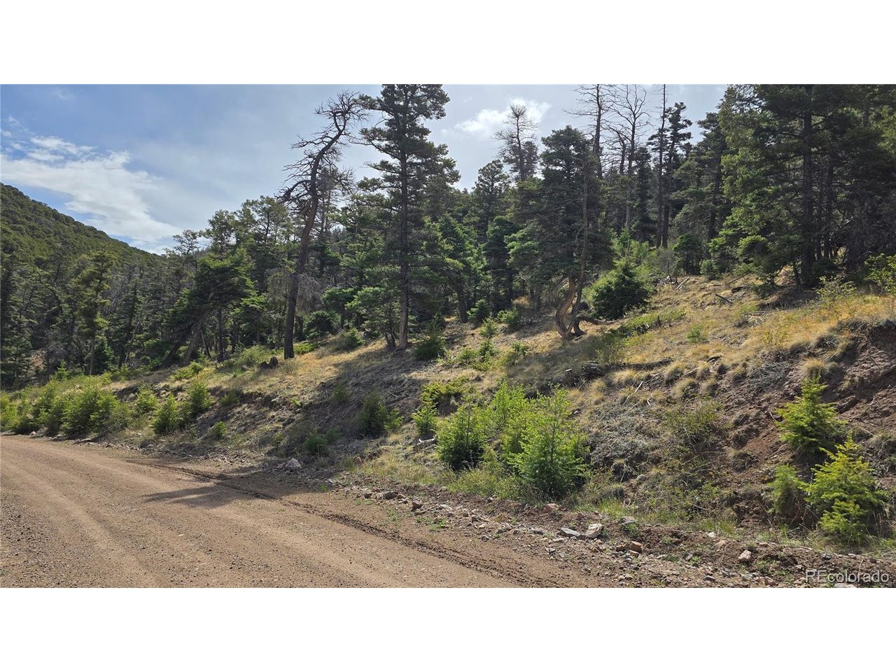 5505 Balleroy Road San Luis, CO 81152 - Photo 27 of 32