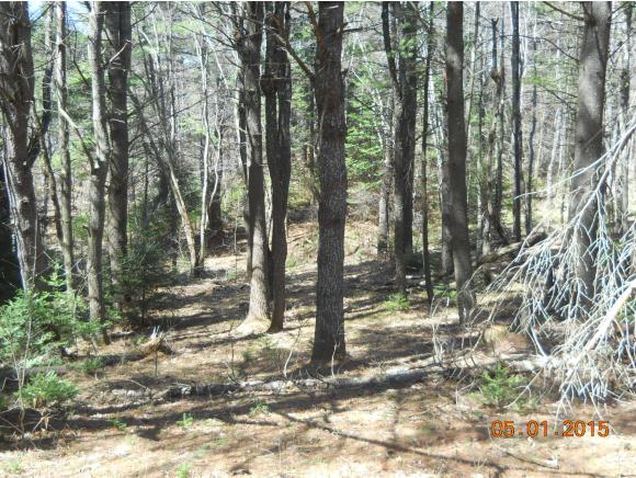 103 South Pitkin Road Lempster, NH 03605 - Photo 11 of 11