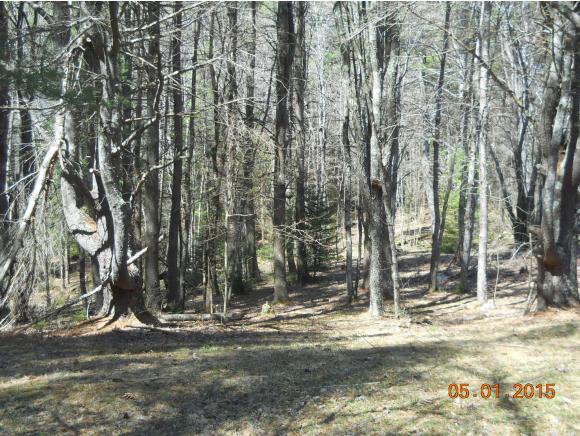 103 South Pitkin Road Lempster, NH 03605 - Photo 7 of 11