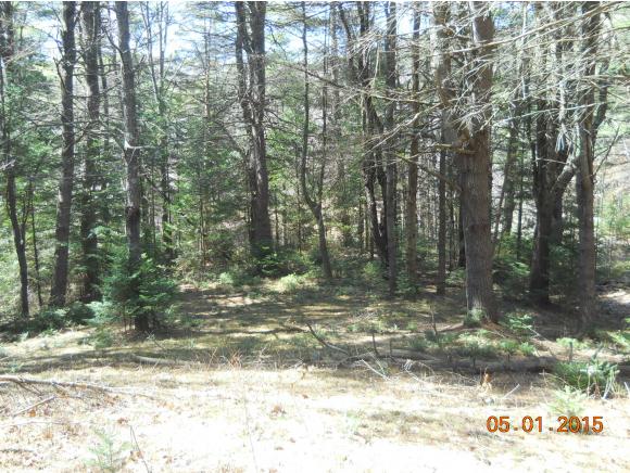 103 South Pitkin Road Lempster, NH 03605 - Photo 8 of 11