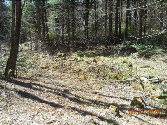 103 South Pitkin Road Lempster, NH 03605 - Photo 9 of 11
