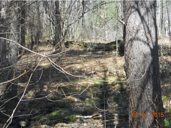 103 South Pitkin Road Lempster, NH 03605 - Photo 10 of 11
