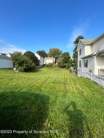 a view of a big yard with plants and a large tree