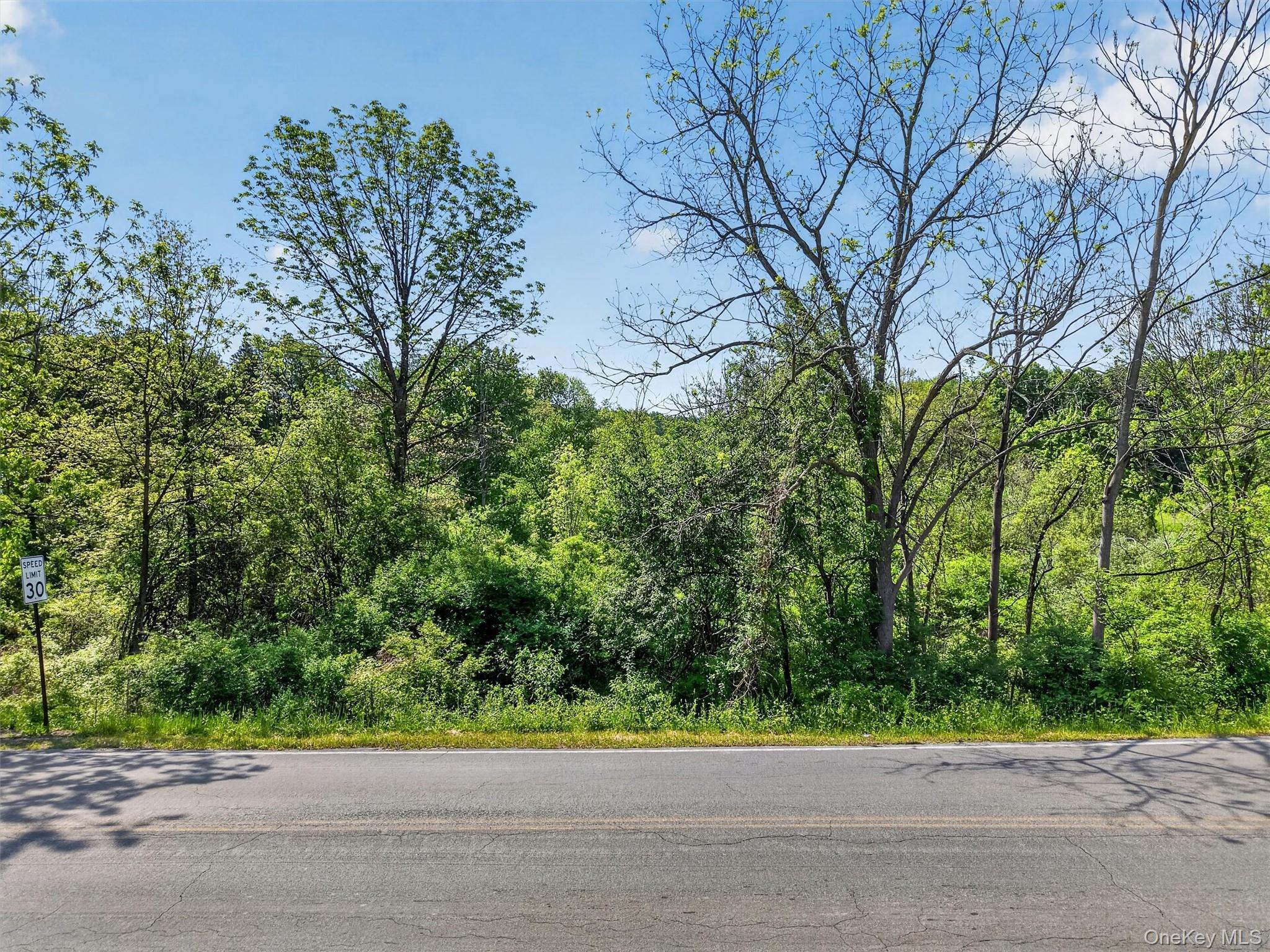 Moore's Hill Road New Windsor, NY 12553 - Photo 2 of 13
