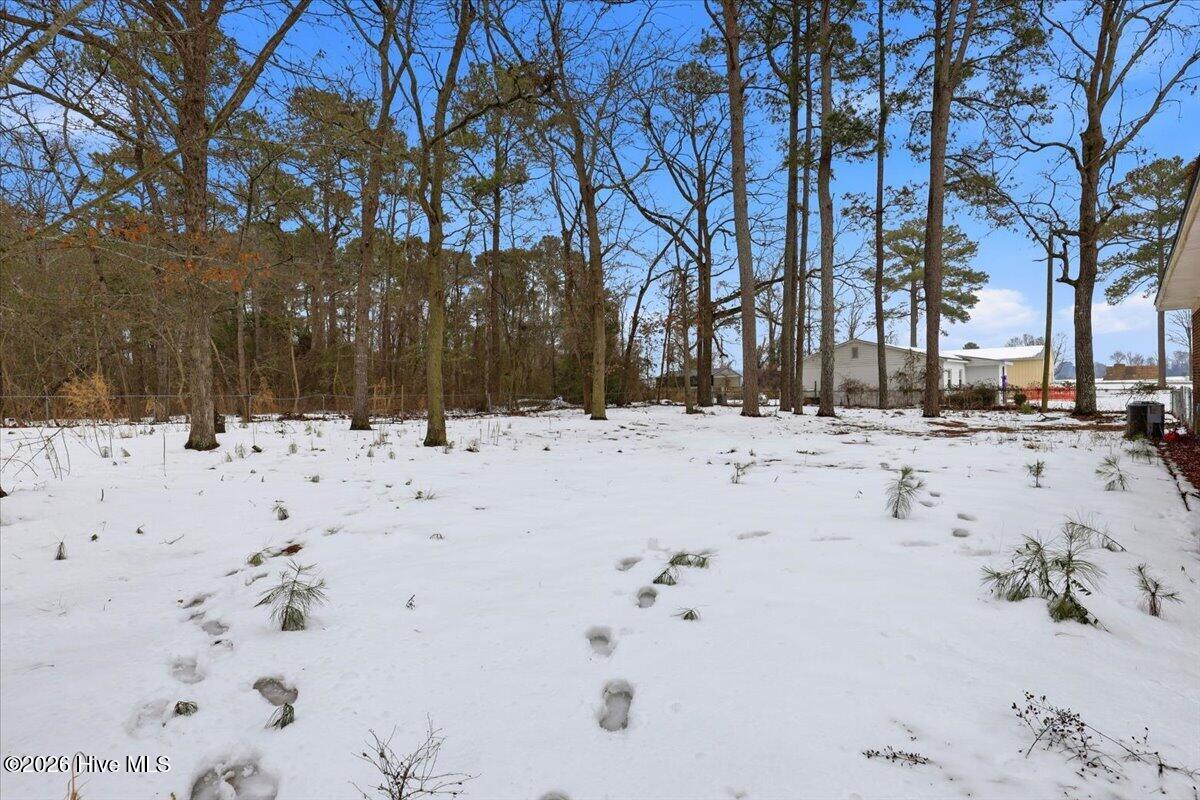 605 Firetower Road La Grange, NC 28551 - Photo 22 of 23 08-605 Firetower Rd-8