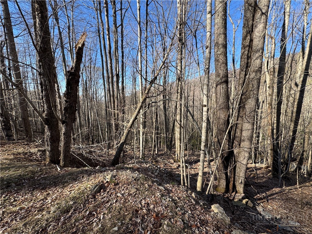 Lot 3 Buckeye Ridge Road Beech Mountain, NC 28604 - Photo 4 of 6 a view of a backyard with large trees